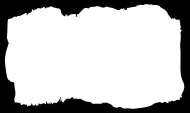 Vektör ayrıntılı grunge çerçeve siyah ve beyaz