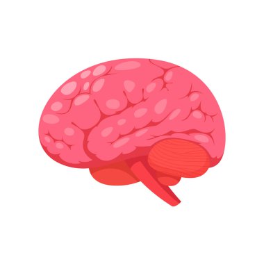 Beyazlar üzerine vektör beyin eğitimi nesnesi kavramı