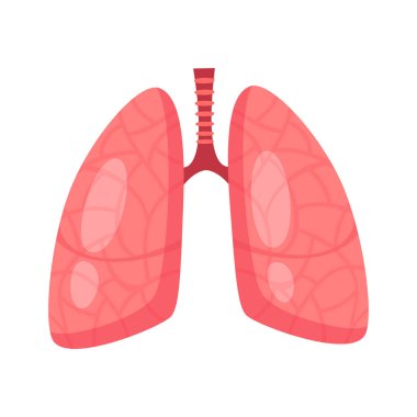 Akciğerli insan iç organını yönlendir