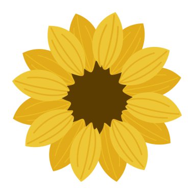 Beyaz arkaplanda vektör ayçiçeği çizimi