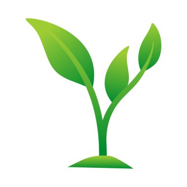 Beyaz arkaplanda vektör yeşil taç yaprağı