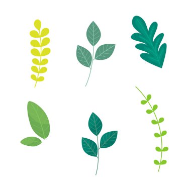 Vektör farklı yeşil yapraklar düz dizayn paketi