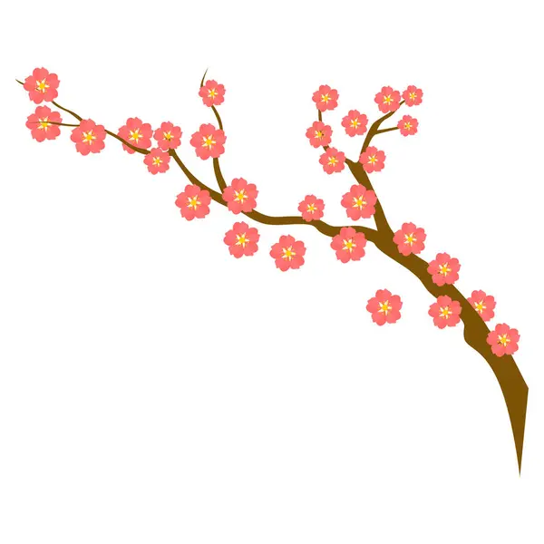 Branche Fleur Cerisier Réaliste Vectoriel — Image vectorielle