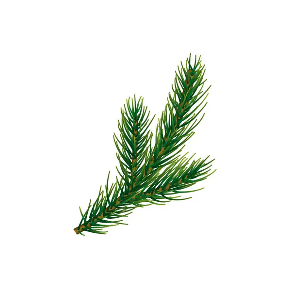 Vektorová Vánoční Větev Izolovaná Průhledném Pozadí Realistický Vánoční Stromek — Stockový vektor