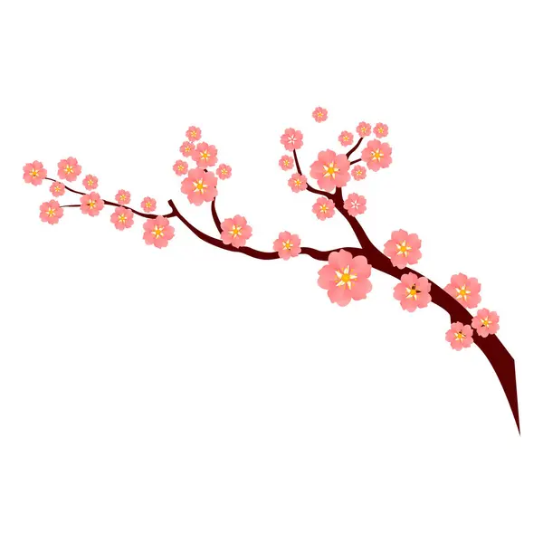 Branches Fleurs Vectorielles Sakura — Image vectorielle
