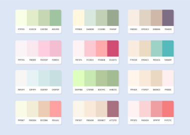 Pantone renk paleti örnekleri rgb altıgeninde