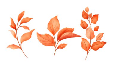 vektör güzel suluboya sonbahar yaprakları beyaz üzerinde toplanır