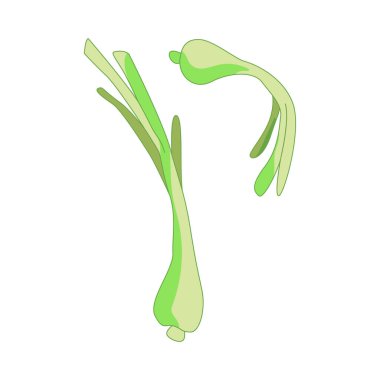 Farklı şekillerde taze soğan taşıyın