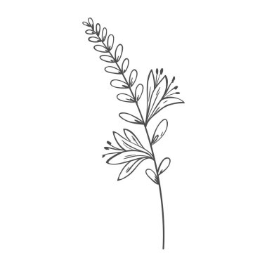 Beyaz arkaplanda vektör el çizimi