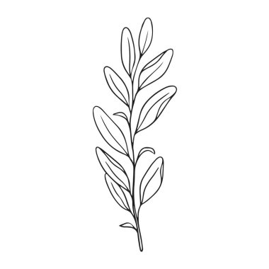 Beyaz arkaplanda vektör el çizimi