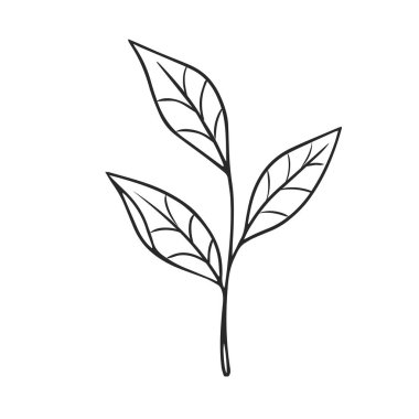 Beyaz arkaplanda vektör el çizimi