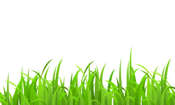 Vector Realistic Grass Illustration Background — Stock Vector