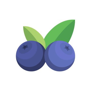 Beyaz arka planda vektör yaban mersini meyvesi