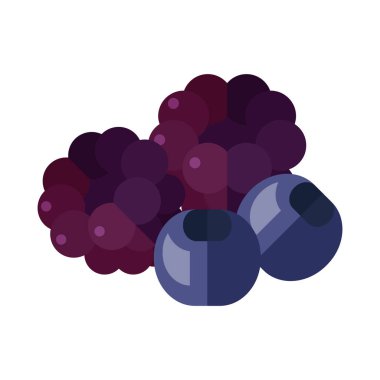 Beyaz arkaplanda yaban mersini