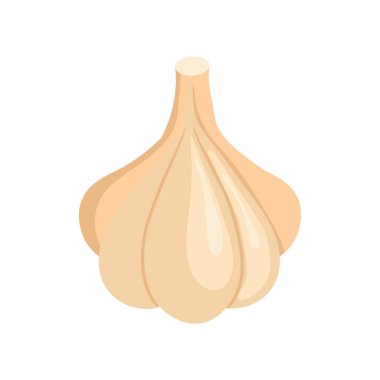 Beyaz arkaplanda vektör sarımsak izole edildi