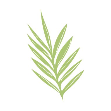 Vektör tropikal veya extotic çiçek dalı tasarımı bırakır