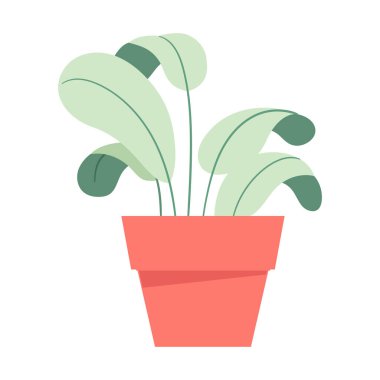  Houseplant icon isolated white background