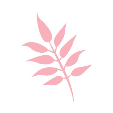 Beyaz palmiye yaprağının tropik yaprakları