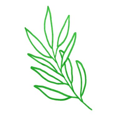 Suluboya çiçek ve yapraklar element, suluboya dallar tasarım