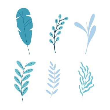 Beyaz arkaplanda el çizimi yapraklar ve dal koleksiyonu