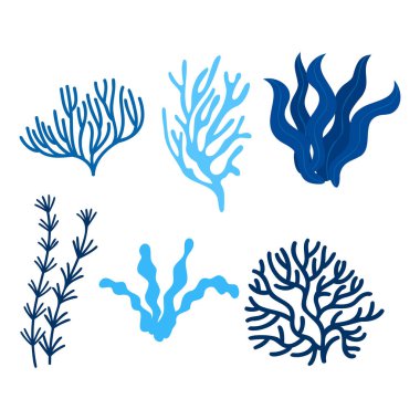 Deniz yosunu konsept makroalgler izole edilmiş koleksiyon