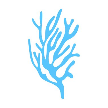 Deniz yosunu ve beyaz bir makroalg.