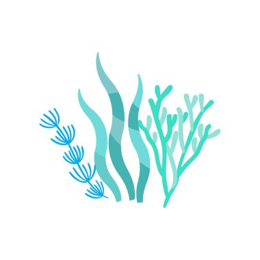 beyaz arkaplanda düz mercan çizimi