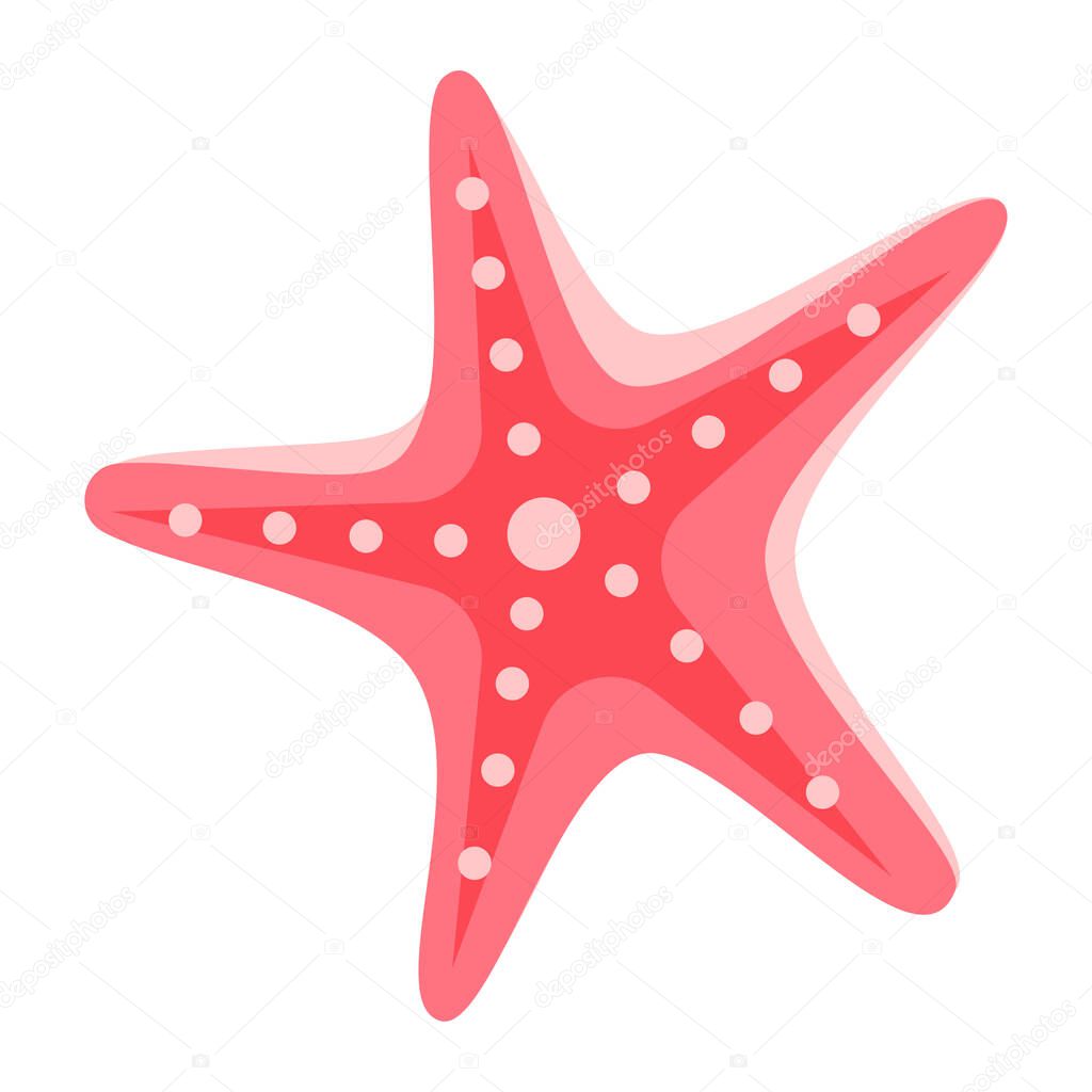 Starfish tropical sealife animal icon on white