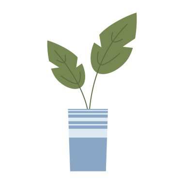 Beyaz arka planda el çizimi ev bitkisi çizimi