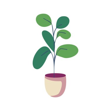 Beyaz arka planda el çizimi ev bitkisi çizimi