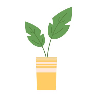 Beyaz arka planda organik düz ev bitkisi