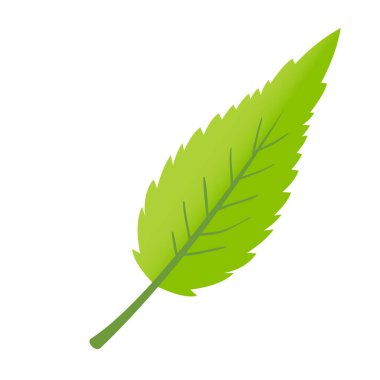 Yaprak bitkisi çizimi