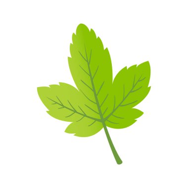 beyaz arkaplanda düz tasarım yeşil izin