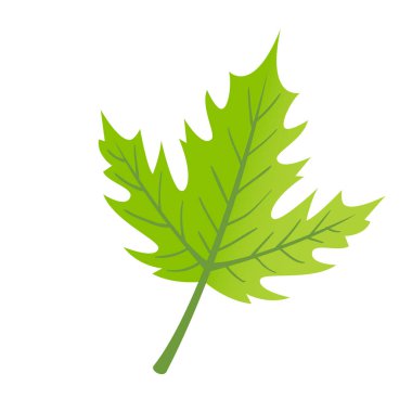 beyaz arkaplanda düz tasarım yeşil izin