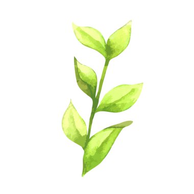 Beyaz üzerine soyut Yaprak Yeşil Suluboya