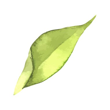 Soyut Yaprak Yeşil Suluboya