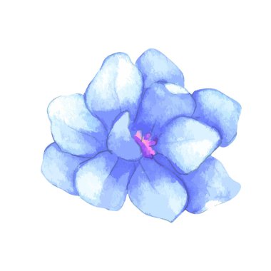 Beyaz üzerine suluboya çiçek illüstrasyonu