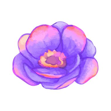 Beyaz arkaplanda suluboya çiçekleri çizimi