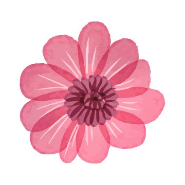 Beyaz arkaplanda suluboya çiçekleri çizimi