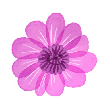 Beyaz arkaplanda suluboya çiçekleri çizimi