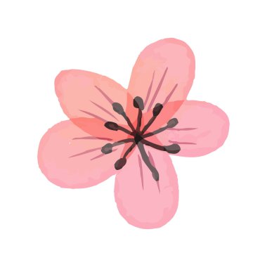 Beyaz arkaplanda suluboya çiçekleri çizimi