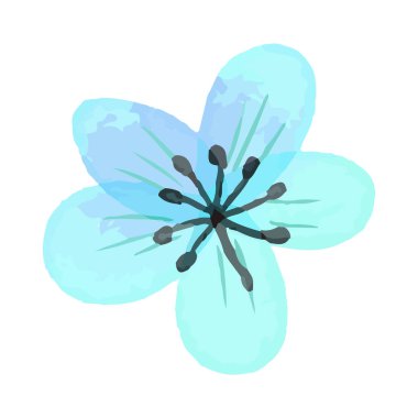 Beyaz arkaplanda suluboya çiçekleri çizimi