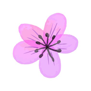 Beyaz arkaplanda suluboya çiçekleri çizimi