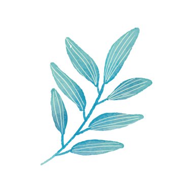 Beyaz arkaplanda suluboya çiçekleri çizimi