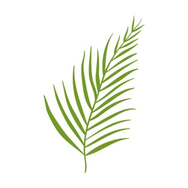 Beyaz arkaplanda soyut tropikal izin