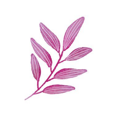 Beyaz arkaplanda suluboya çiçekleri çizimi