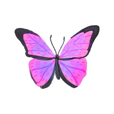 Beyaz arkaplanda tatlı suluboya kelebek çizimi