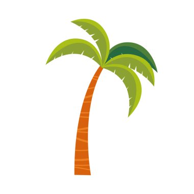 Beyaz arka planda palmiye ağacı illüstrasyon