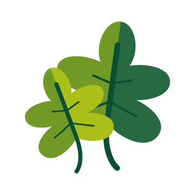 beyaz arkaplanda izole edilmiş tropikal izin