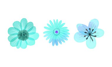 Watercolor flowers collection on white background